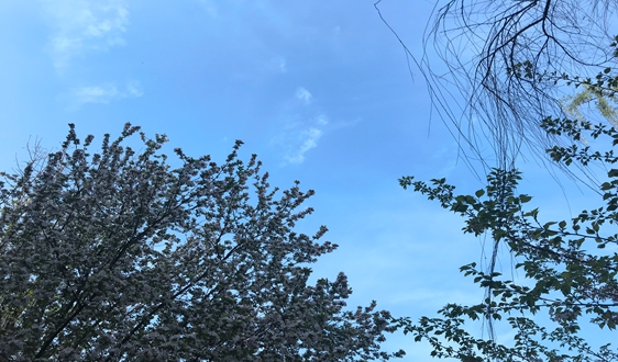 2020年藍(lán)天成績(jī)單還得看今夏這一戰(zhàn)